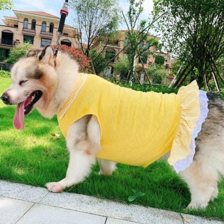 Kutyaruha - Könnyed ruha sárga színben, fehér kockás gallérral és szoknyalajjal - Nagy kutyáknak!