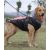 Kutyaruha -Nagy méretű kutyáknak vízlepergetős-magas minőségű mellény