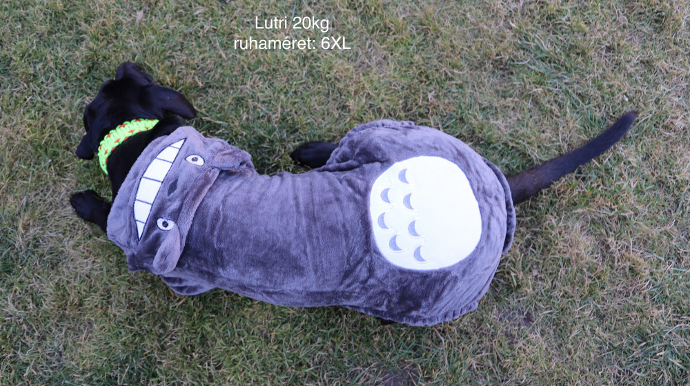 RTR-003-4XL_altpic_1 RTR-003-4XL_altpic_1