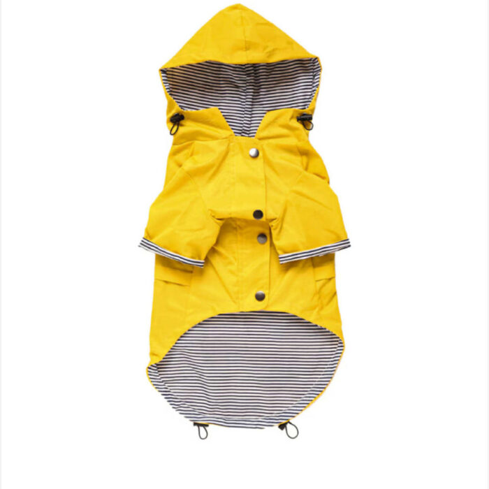 RTR-027-M_altpic_2 RTR-027-M_altpic_2