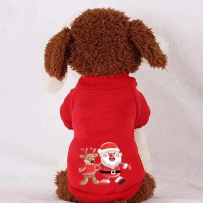RTR-039-L_altpic_3 RTR-039-L_altpic_3