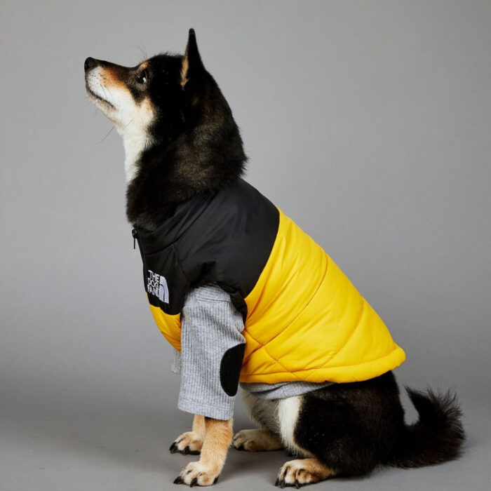 RTR-069-2XL_altpic_3 RTR-069-2XL_altpic_3