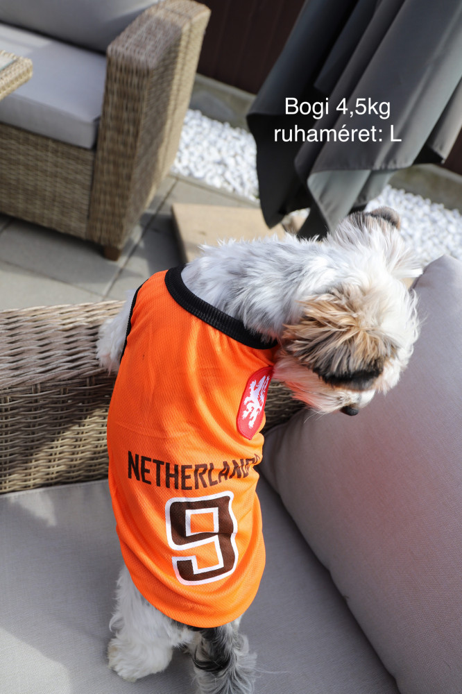 RTR-135-2XL_altpic_1 RTR-135-2XL_altpic_1
