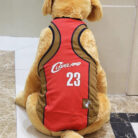 RTR-138-2XL