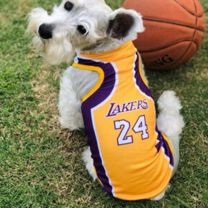 Lakers szurkolói kutyamez