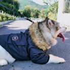 RTR-268-2XL_altpic_5