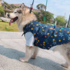 RTR-269-2XL_altpic_2