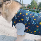 RTR-269-2XL_altpic_3