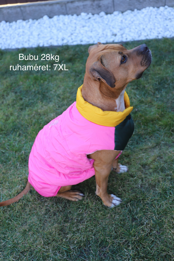 RTR-270-3XL_altpic_2 RTR-270-3XL_altpic_2