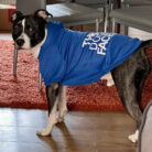RTR-297-FEKETE-2XL_altpic_1