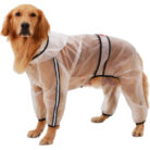 RTR-309-3XL_altpic_4
