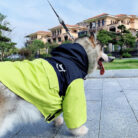 RTR-316-2XL_altpic_4