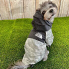 RTR-327-ARANY-2XL_altpic_5