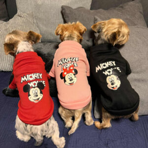 Mickey és Minnie Kutyapulóver
