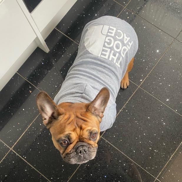 RTR-361-PIROS-2XL_altpic_4 RTR-361-PIROS-2XL_altpic_4