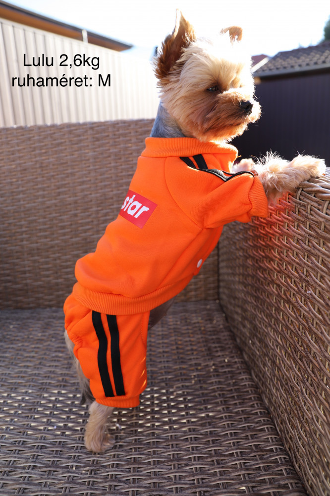 RTR-403-NARANCS-2XL_altpic_3 RTR-403-NARANCS-2XL_altpic_3