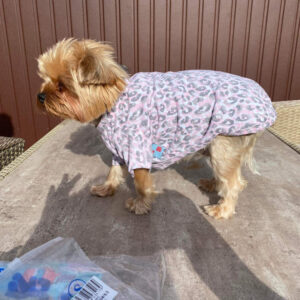 Leopárd mintás pamut Kutyapóló/Kutyatrikó