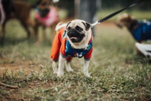 hiba ruhavásárlás